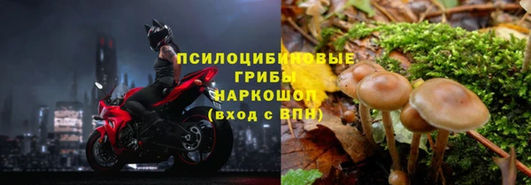 спайс Богородск