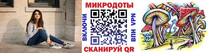 где купить наркотик  Белгород  Псилоцибиновые грибы GOLDEN TEACHER 